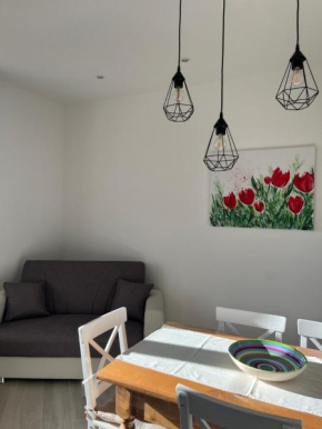 The Tulip: 2 rooms apartment Ronzo-Chienis